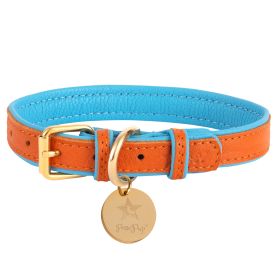 COLLAR (Option: VIBRANT SUNSET, size: xs)