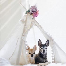 Mini Camp TEEPEE (Option: SMALL)
