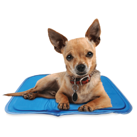 Cool Pet Pad (Color: Blue, size: xs)