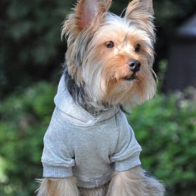 Flex-Fit Hoodie (Color: gray, size: X-Small)